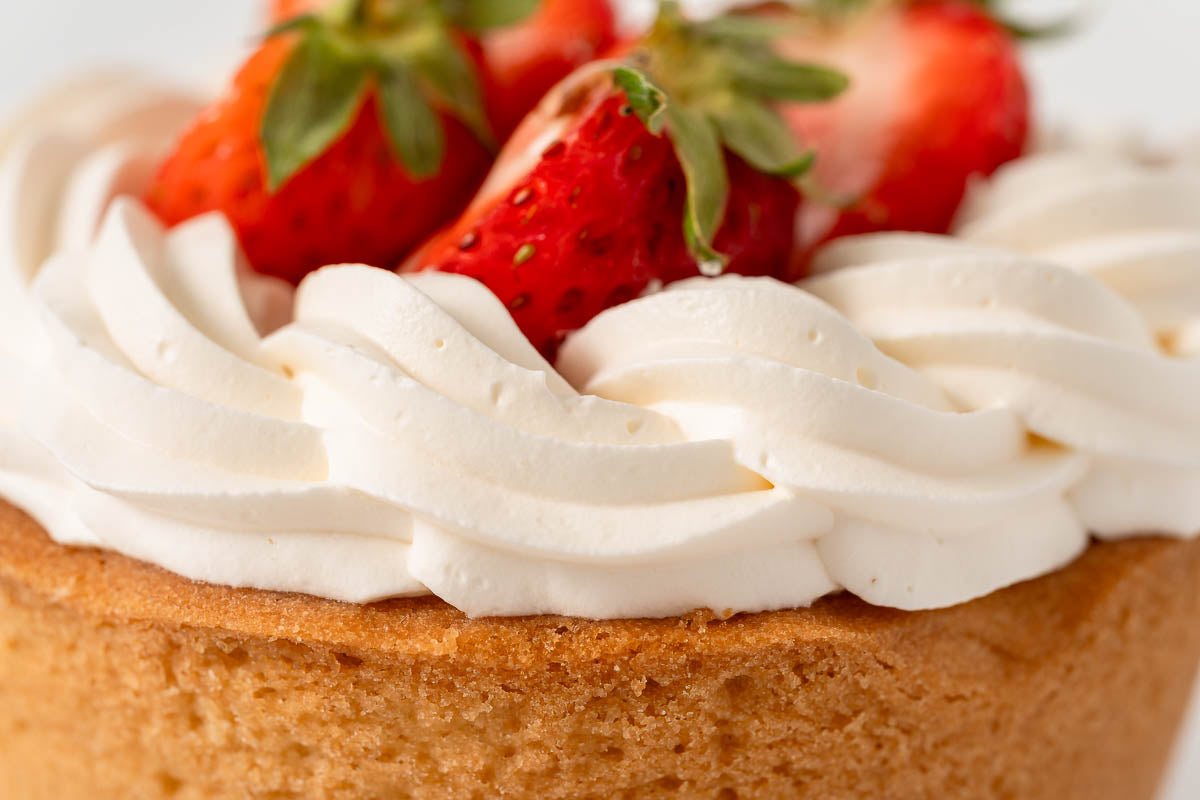 Ricotta Tart Panna & Fragola